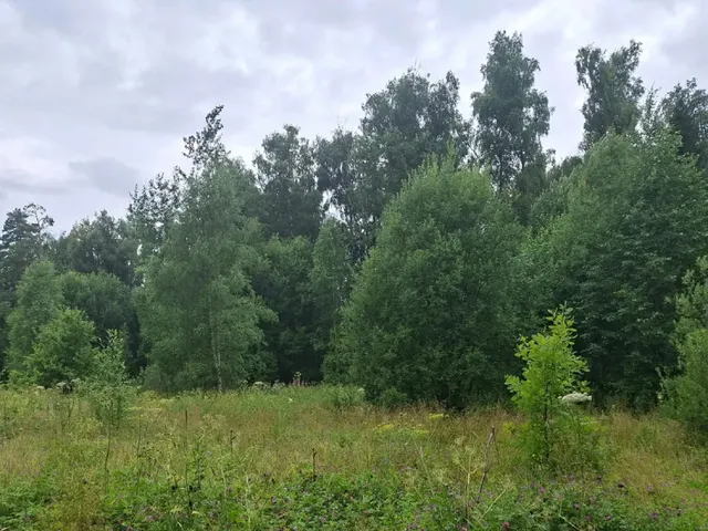 Аукцион в отношении земельного участка с КН 50:12:0030422:14