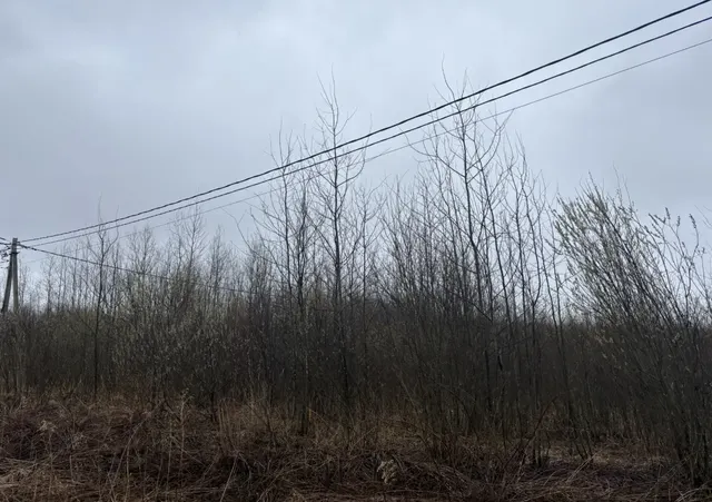 Аукцион в отношении земельного участка с КН 50:17:0011116:55