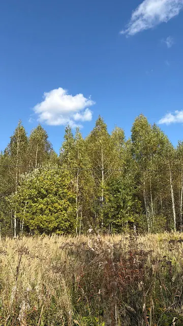 Аукцион в отношении земельного участка с КН 50:33:0020428:1384