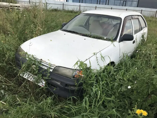 Реализация по прямому назначению: 1. Автомобиль марки "NissanSunny" (Ниссан Санни), ГРЗ Р811ВО 154, номер кузова FB15108446 (состояние удовлетворительное, рабочее, документы и ключи в наличии, капот заблокирован) 2. Автомобиль "ТОЙОТА КОРОЛЛА",ГРЗ Х750ОМ54, г.в. 1997 б/у,номер кузова EE1026011580, (документы и ключи отсутствуют)