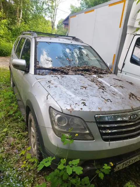 А/м Kia QLE (HM, BORREGO, MOHAVE) серого цвета, 2009 г.в., гос. №X195TP 152, VIN XWEJH523890000336, зарегистрировано ограничение.