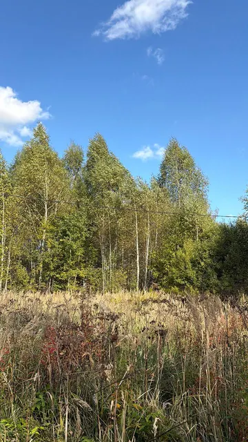 Аукцион в отношении земельного участка с КН 50:33:0020428:1384