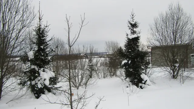 Аукцион в отношении земельного участка с КН 50:19:0030310:434