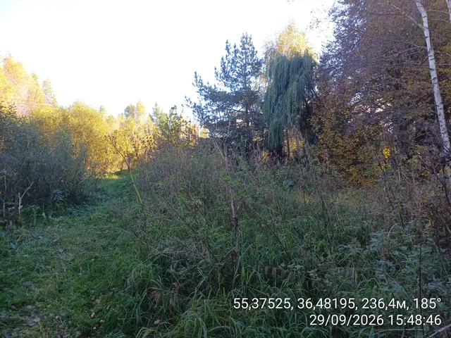 Аукцион в отношении земельного участка с КН 50:26:0080401:459