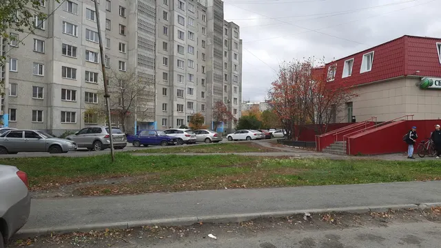 Елочный базар по адресу: г. Курган, 6 микрорайон, в районе здания № 3А