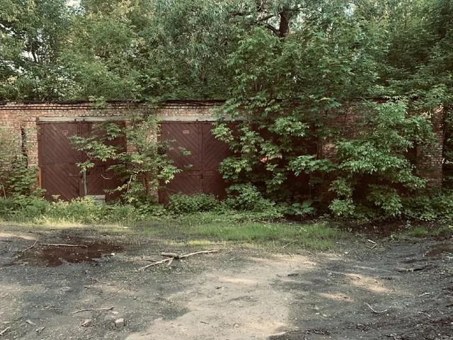 Объекты недвижимого имущества, расположенные по адресу: Псковская область, г. Великие Луки, пр-кт. Гагарина, д.114в:  – здание общей площадью 87,9 кв.м., с кадастровым номером 60:25:0040811:59, РНФИ П12600003997;  – здание общей площадью 330,3 кв.м., с кадастровым номером 60:25:0040811:62, РНФИ П12600003996.