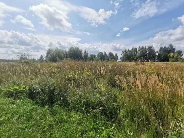 Аукцион в отношении земельного участка с КН: 50:34:0050441:2122