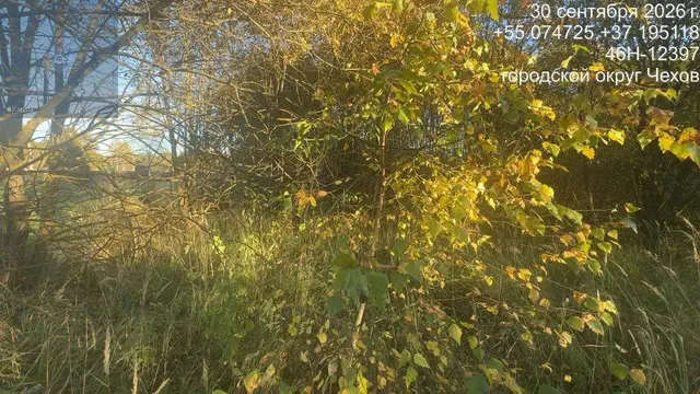 Аукцион в отношении земельного участка с КН 50:31:0050205:1105
