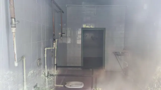 Нежилое здание с наименованием "Пищеблок" с кадастровым номером 69:10:0000028:108, нежилое здание с наименованием "Лечебное отделение" с кадастровым номером 69:10:0000028:109, нежилое здание с наименованием "Сарай" с кадастровым номером 69:10:0000028:110 и земельный участок по ними с кадастровым номером 69:10:0280301:139 по адресу: Тверская область,  Калининский муниципальный округ, д. Каменка