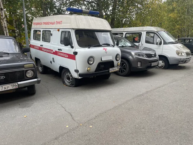 Транспортное средство Специализ.автомобиль (А/м скорой мед.помощи) УАЗ 396255, 2012 года изготовления, идентификационный номер (VIN) XTT396255D0478553