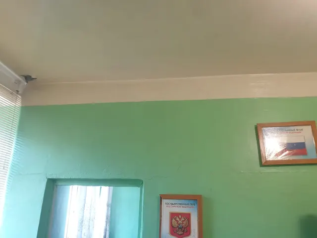 Аукцион в электронной форме по продаже нежилого помещения общей площадью 20,5 кв.м., кадастровый номер 56:44:0101006:563, расположенного по адресу: Оренбургская область, г. Оренбург, ул. Гражданская, д. 1, пом. №2