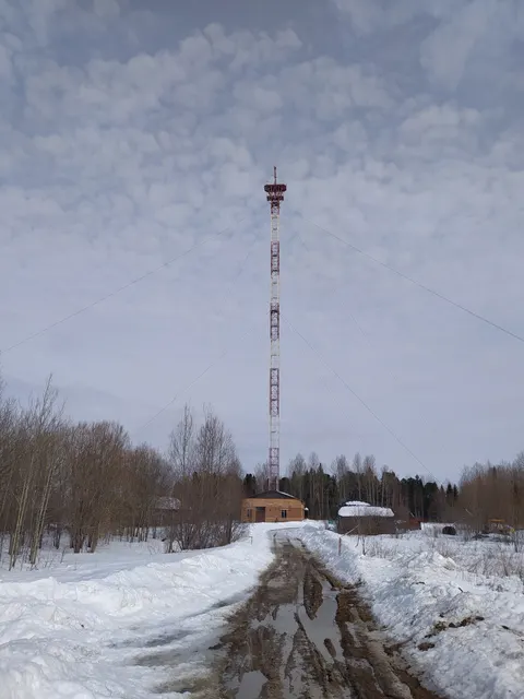 Земельный участок общей площадью 55 кв.м, с кадастровым номером 70:08:0100037:141, с расположенными на нем объектами движимого и недвижимого имущества, по адресу: Томская область, р-н Колпашевский, д. Юдино, ул. Совхозная, 40