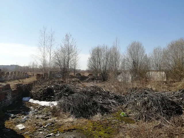 Здание скотного двора, учебного класса на ферме, площадь 1446,6 кв.м; земельный участок, площадь 1937 кв.м, расположенное по адресу:  Новгородская область, м.о. Новгородский, д. Григорово
