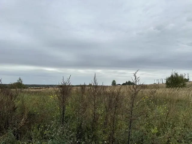 Аукцион в отношении земельного участка с КН 50:39:0050103:506