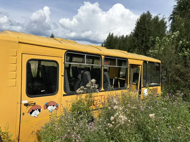 Автобус ПАЗ 32053-70, 2007 года выпуска, государственный регистрационный знак: O761MA43, идентификационный номер (VIN): X1M3205EX70005419, адрес (местонахождение): Кировская область, Нагорский район, п. Орлецы.