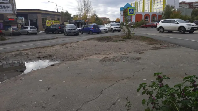 Елочный базар по адресу: г. Курган, б-р Солнечный, в районе здания № 9