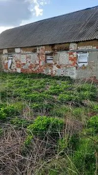 Здание  коровника-телятника. Площадь: 502.5 кв.м. Кадастровый номер: 68:17:0702001:134  с земельным участком, категория земель: земли населенных пунктов, площадь: 1961 кв.м, кадастровый номер: 68:17:1802010:121