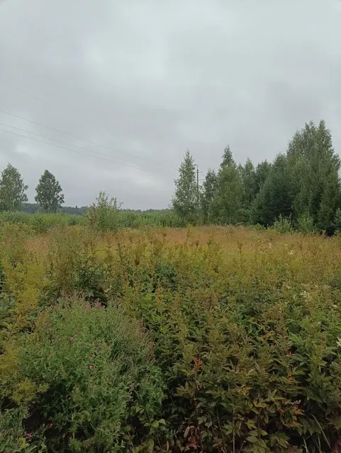 Аукцион в отношении земельного участка с КН 50:09:0030206:695
