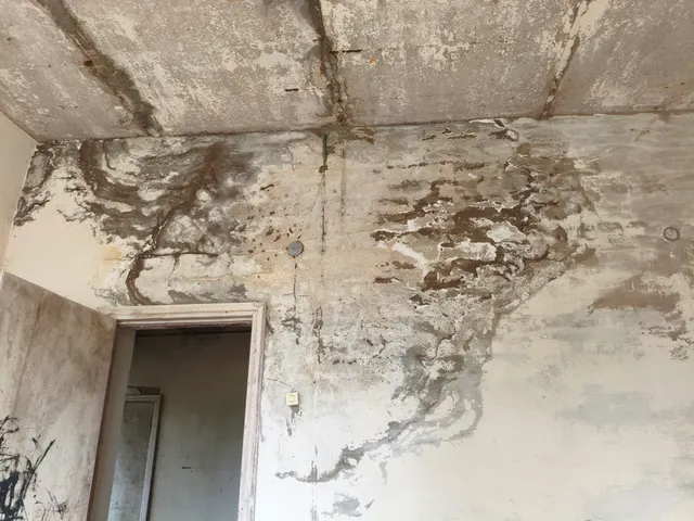 Здание теплицы, площадь 103,2 кв.м, кадастровый номер 43:07:110601:655, 1990 г. постройки, назначение: нежилое здание, по адресу: Российская Федерация, Кировская область,  муниципальный район Вятскополянский,  сельское поселение Усть-Люгинское, деревня Ямышка,  улица Новая, здание 10в, земельный участок, площадь 1347 кв.м, кадастровый номер 43:07:110601:663, категория земель:  земли населенных пунктов, по адресу: Российская Федерация, Кировская область,  муниципальный район Вятскополянский,  сел