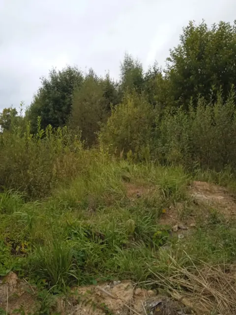 Аукцион в отношении земельного участка с КН 50:09:0070302:2287