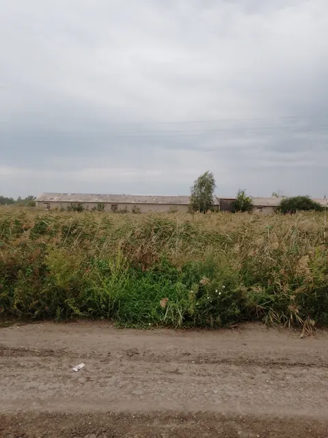 Нежилое помещение с кадастровым номером 54:23:050102:686 общей площадью 244,3 кв. м., наименование - склад, расположенное по адресу: Российская Федерация, Новосибирская область, м.о. Татарский, с. Новопервомайское, ул. Восточная, стр. 26, помещ. 3П.