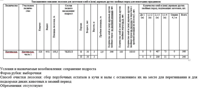Право заключения договора купли-продажи лесных насаждений для заготовки елей и (или) деревьев других хвойных пород для новогодних праздников в границах земель лесного фонда Ногликского лесничества