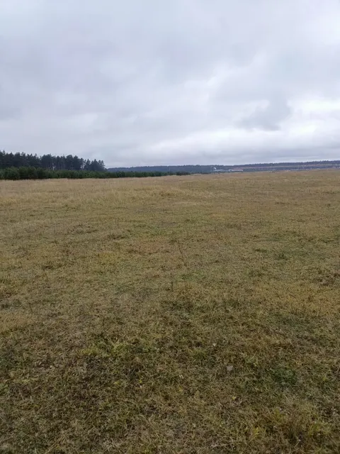 Земельный участок с кадастровым номером 33:06:062601:133