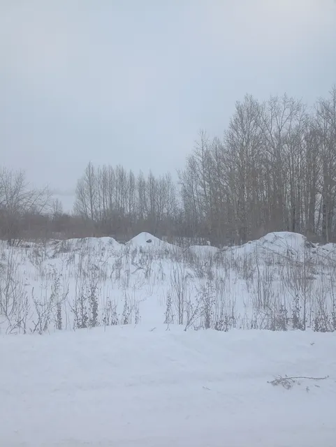Земельный участок из состава земель населенных пунктов  с кадастровым номером 55:36:030117:1029