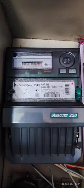 Нежилое помещение площадью 21,9 кв.м, кадастровый номер 29:08:013108:173 (реестровый номер федерального имущества П13310000267).