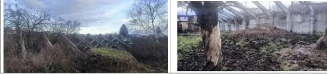 Нежилое здание (подвал)