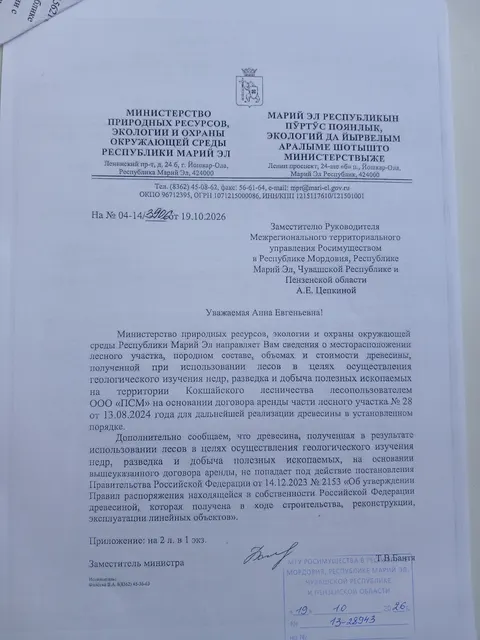 Древесина