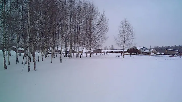 Аукцион в отношении земельного участка с КН 50:33:0010328:2903