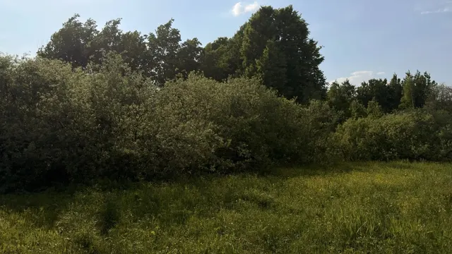 Аукцион в отношении земельного участка с КН 50:08:0080328:788