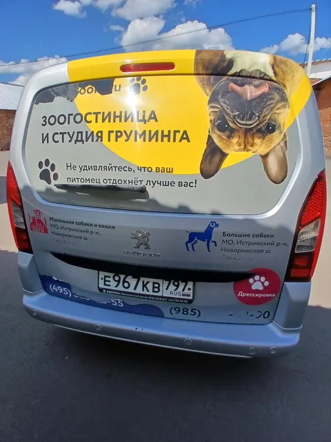Легковой автомобиль PEUGEOT PARTNER, 2021 года выпуска, идентификационный номер (VIN): Z8T7JNFJTMM012568, № кузова (прицепа): Z8T7JNFJTMM012568, шасси (рамы): отсутствует, мощность двигателя: 114,2 л.с., 84 кВт, цвет: серый, гос. номер Е967КВ797