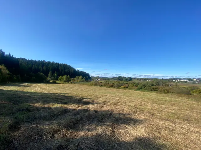 земельный участок, площадью 38 006 кв.м., с кадастровым номером 10:07:0042811:1683, местоположение: Российская Федерация, Республика Карелия, Сортавальский муниципальный округ, п. Лахденкюля, категория земель: - «Земли населенных пунктов»; вид разрешенного использования: - «Природно-познавательный туризм».