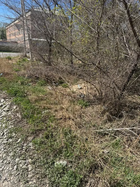 жилой дом площадью 86,1 кв.м, расположенный по адресу: г. Абакан,                ул. Калинина, дом 88, кадастровый номер 19:01:060205:252 (не пригоден для дальнейшей эксплуатации и не подлежит восстановлению вследствие пожара); земельный участок общей площадью 812+/-10 кв.м, категория земель: земли населенных пунктов, разрешенное использование: для индивидуального жилищного строительства,  расположенный по адресу: г. Абакан, ул. Калинина, земельный участок 88, кадастровый 19:01:060205:705.