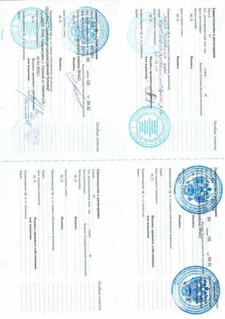 Снегоход "Буран" АЕ/0013-9028