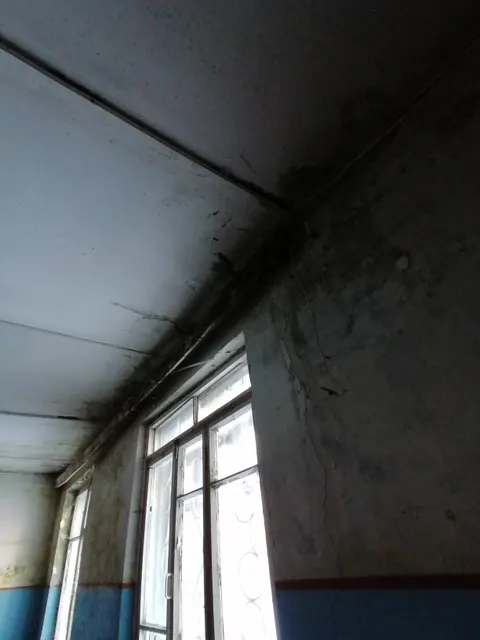 Нежилое помещение, кадастровый номер 58:22:0420203:305, общей площадью 49,2 кв.м. с земельным участком, категория земель: земли населенных пунктов, разрешенное использование: под общественную застройку, общая площадь 62 кв.м. Кадастровый номер: 58:22:0420203:312