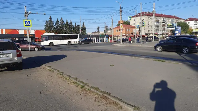 Елочный базар по адресу: г. Курган, пр. Машиностроителей, в районе здания № 2в