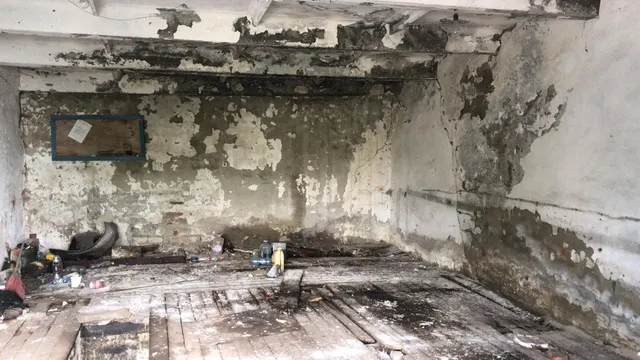 Аукцион в электронной форме по продаже лота - нежилое помещение (гараж) с кадастровым номером 58:12:1801007:649 площадью 45,6 кв. м, расположенное по адресу: Российская Федерация, Пензенская область, м.р-н Колышлейский, г.п. рабочий поселок Колышлей, рп. Колышлей, ул. Лесная, д. 8а