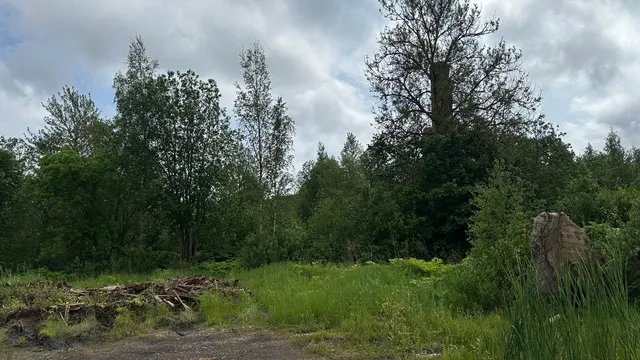Здание с земельным участком