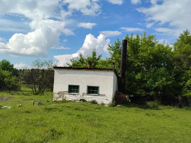 Здание школы, назначение: нежилое, площадью 796,9 кв.м., кадастровый номер 45:07:033702:276, по адресу: Курганская область, Катайский район, с. Лобаново, ул. Школьная, 14; здание котельной, назначение нежилое, площадью 23,5 кв.м., кадастровый номер 45:07:033702:277, по адресу: Курганская обл., муниципальный округ Катайский, с. Лобаново, ул. Школьная, д. 14а, одновременно с земельными участками: кадастровый номер 45:07:033702:84 и 45:07:033702:301