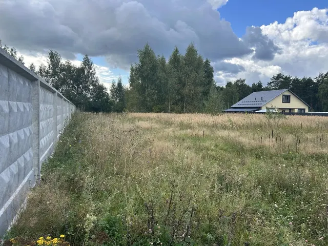 Аукцион в отношении земельного участка с КН: 50:36:0030209:242