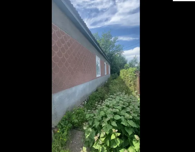 Нежилое здание, площадью 76,1 кв. м, кадастровый номер 23:25:0901051:19, расположенное по адресу: Российская Федерация, Краснодарский край, муниципальный округ Приморско-Ахтарский, станица Степная, улица Дзержинского, дом 12, с земельным участком с кадастровым номером 23:25:0901051:2, площадью 368 кв.м