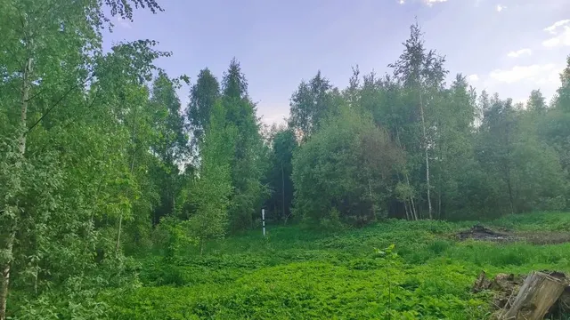 Аукцион в отношении земельного участка с КН 50:23:0010240:941