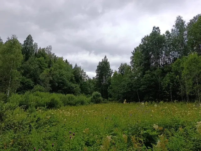 земельный участок, площадью 65 000 кв.м., с кадастровым номером 10:07:0042803:220, местоположение установлено относительно ориентира, расположенного за пределами участка. Почтовый адрес ориентира: Республика Карелия, г. Сортавала. Земельный участок расположен в юго-восточной части кадастрового квартала 10:07:04 28 03, категория земель: - «Земли особо охраняемых территорий и объектов»; вид разрешенного использования: - «Природно-познавательный туризм. Территориальная зона - Р2. Зона объектов отд