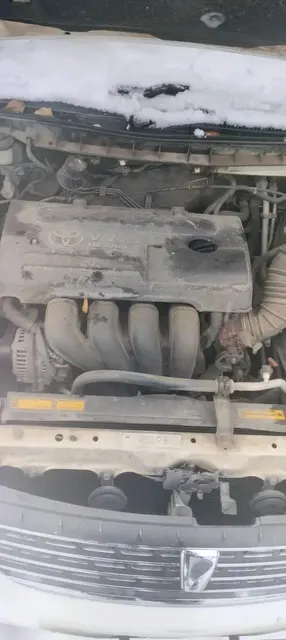 Автомобиль марки Toyota Premio, г/н B609OO27 ,2004 г.в., № кузова ZZT2400092585 , цвет белый,отсутствует задний бампер, повреждения по корпусу.