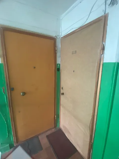 Лот № 14. Квартира площадью 32,3 кв. м, кадастровый номер 36:34:0507019:385, расположенная по адресу: г. Воронеж, ул. Писателя Маршака, д. 18, кв. 118 - принадлежащая Молевой Е.Л., Молеву Р.А. (общая долевая собственность по 1/2 доли).