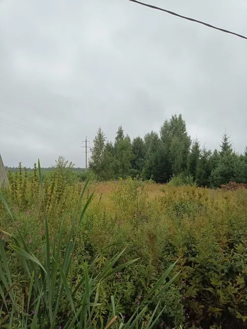 Аукцион в отношении земельного участка с КН 50:09:0030206:695