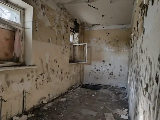 нежилое здание (аптека)